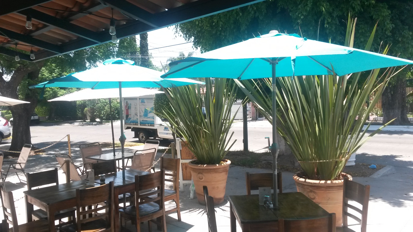 Algun Lugar Pizzeria餐厅图片