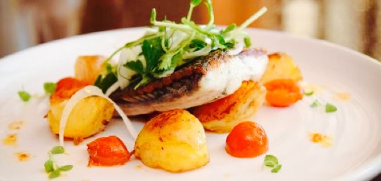 The Teller Collective