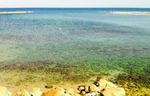 Sea View餐厅图片