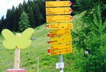 Restaurant Furgglis美食图片