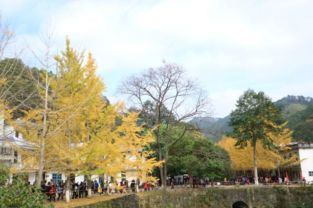 마오쯔펑 린창
