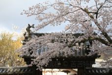 东大寺-奈良-doris圈圈