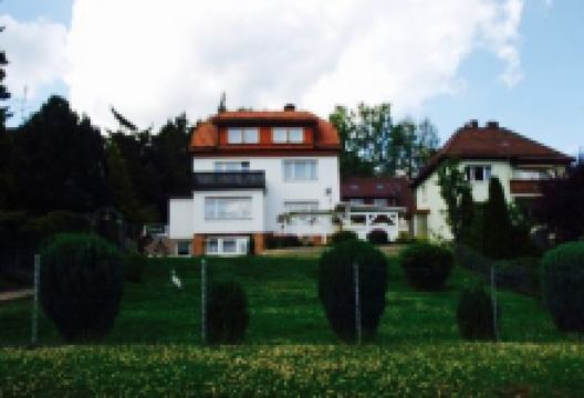 Harzer Schnitzelhaus & Waffelbackerei美食图片