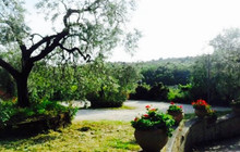 Il Giardino degli Ulivi餐厅图片