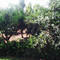Agriturismo Berlinga