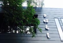 Kiharashi美食图片