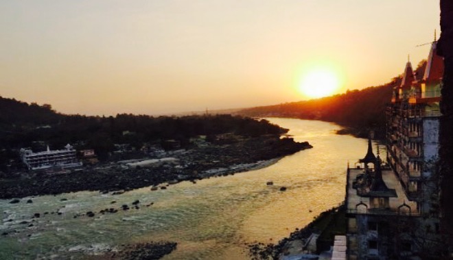 Shambala Cafe餐厅图片