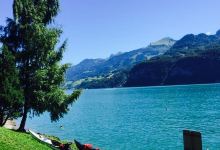 Lago Mio美食图片