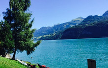 Lago Mio餐厅图片