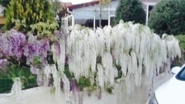 Veli'nin Yeri