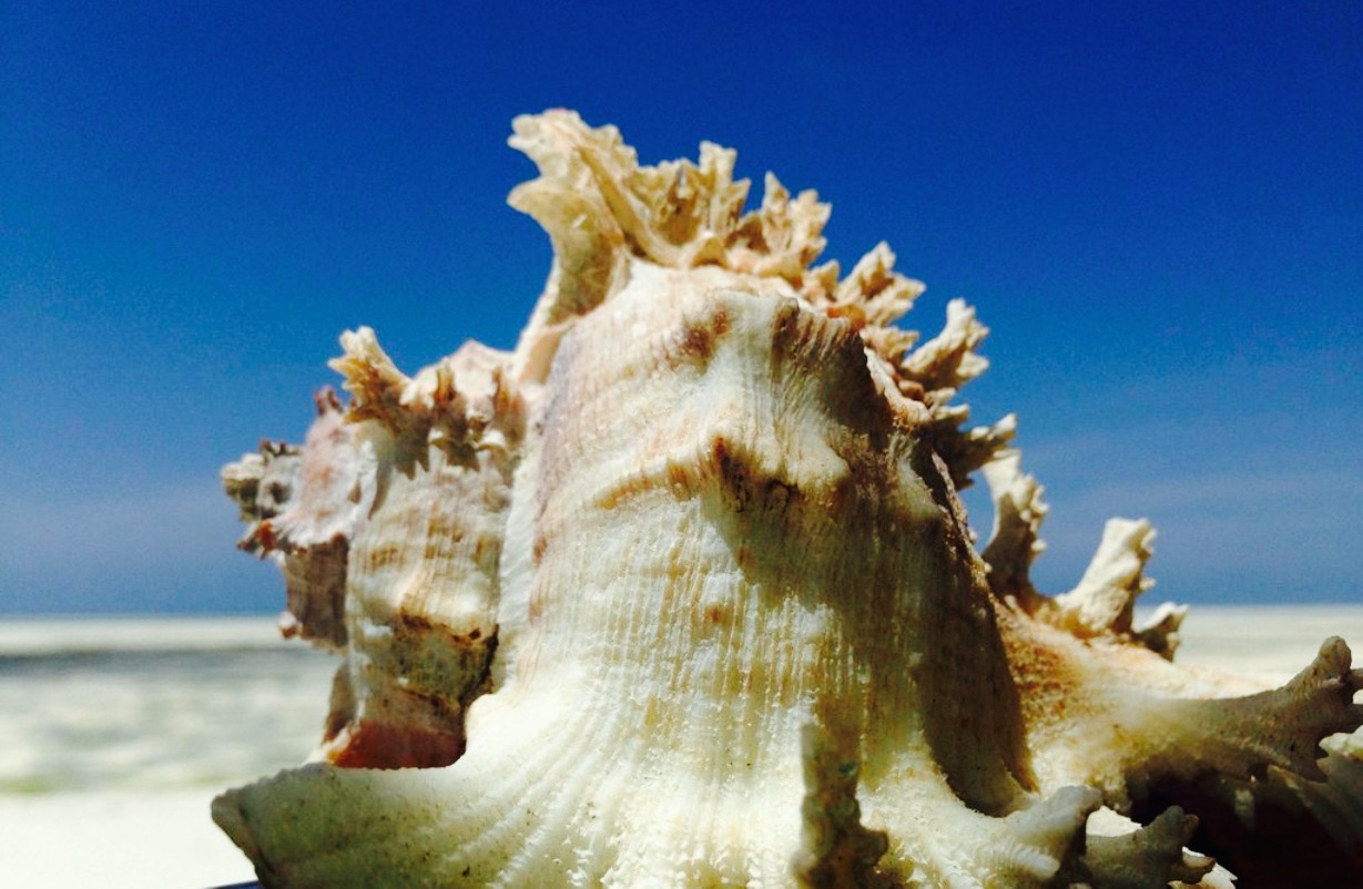 Kome Seaside Bistro餐厅图片