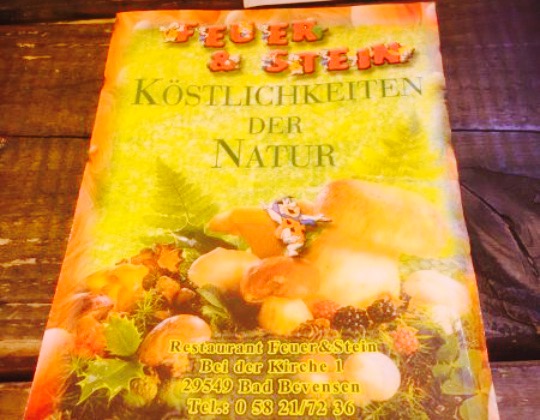 Restaurant Feuer & Stein