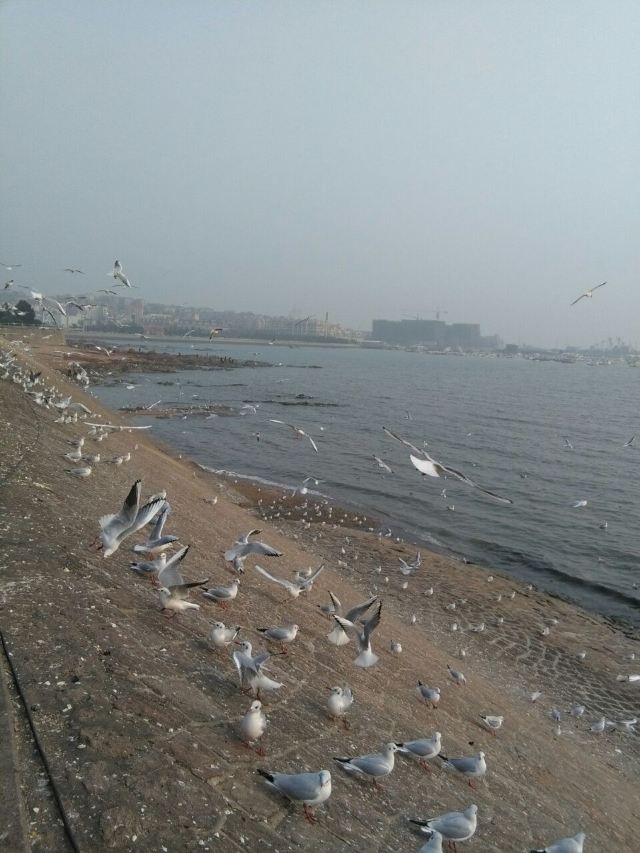 잔교(잔차오)