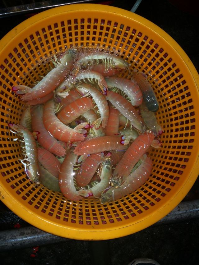환구부두