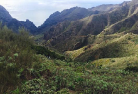 Natural Park of Teno景点图片
