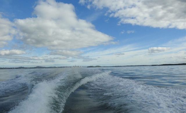 Rangitoto Island