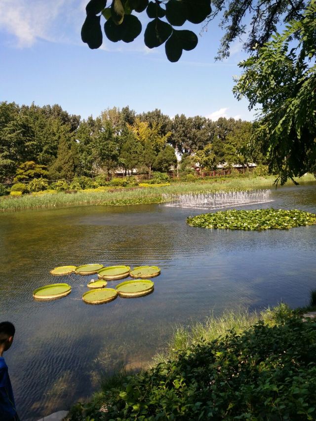 Old Summer Palace