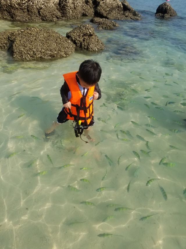 Koh Khai Nok
