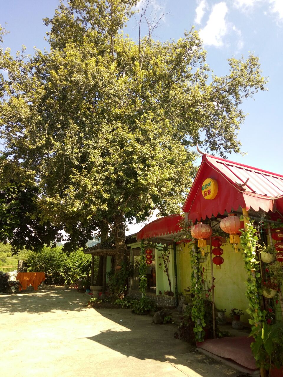 一亩田风味馆(沿边公路店)餐厅图片