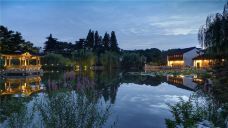 愚园-南京-doris圈圈