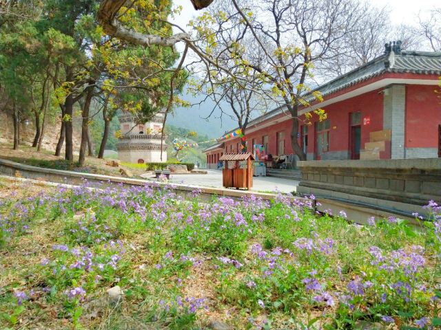 링옌사