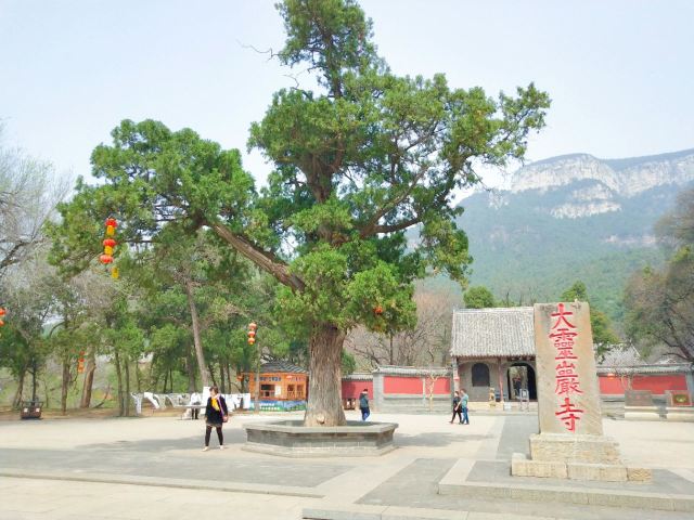 링옌사