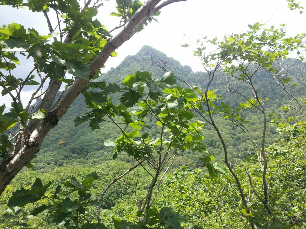 天罡山