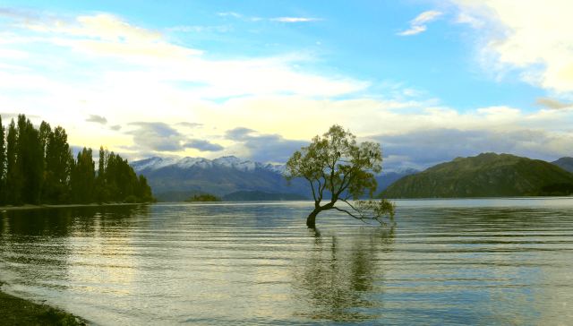 Lake Wanaka