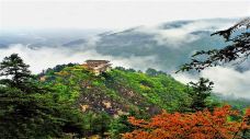 兴隆山自然保护区-榆中-doris圈圈