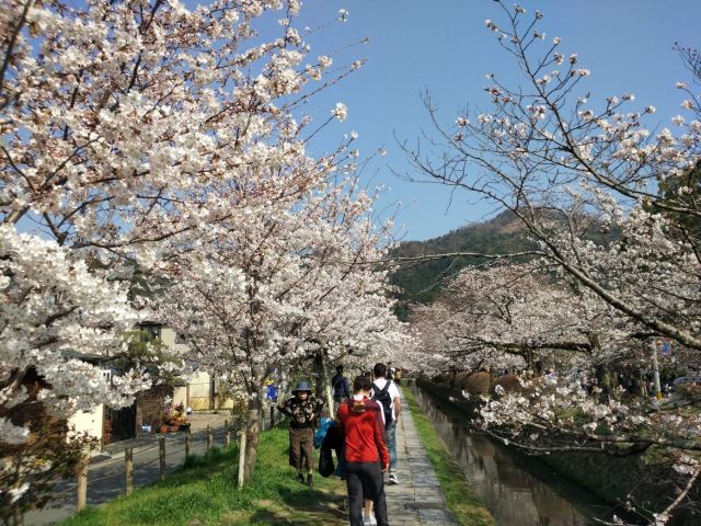 Philosopher's Walk