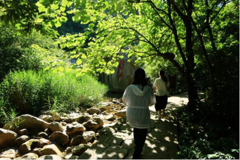 网红避暑胜地 洛阳神灵寨七彩滑道、神奇喊泉等你打卡 盛夏来临，全国气温高涨，据中国气象网显示，河南全