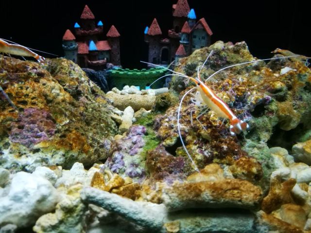 Nanchong Polar Ocean World