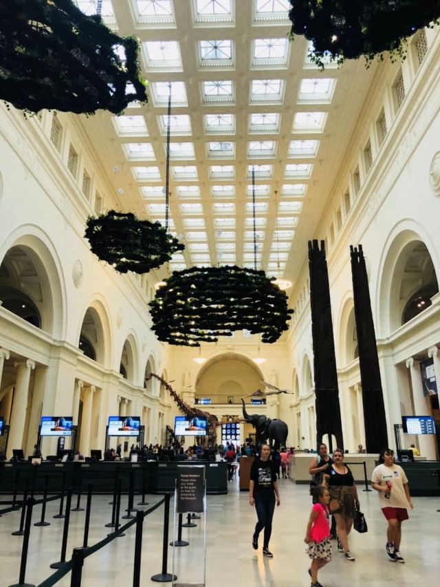 The Field Museum