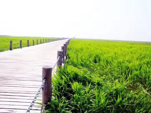 龙安桥国家湿地公园