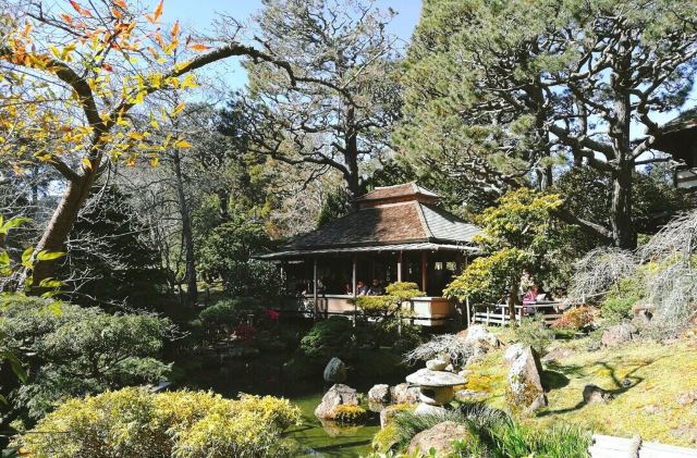 Japanese Tea Garden