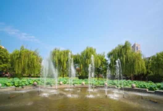 春秋广场景点图片