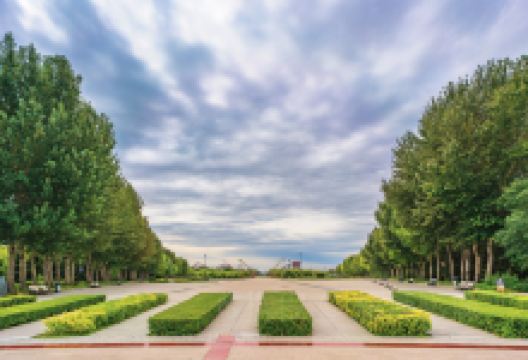 时代广场景点图片