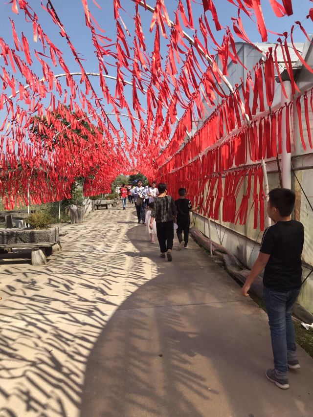 錦林佛手文化園