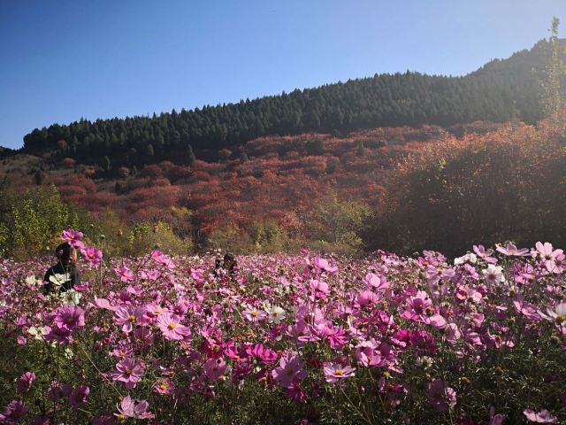 Guanhushan Scenic Area
