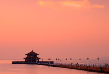 青岛海底世界+青岛奥帆中心+小麦岛公园一日游【包车一对一】【专属包车服务，不含门票食宿，不拼团】