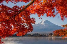 富士山-富士宫市-C-IMAGE