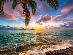 美国夏威夷欧胡岛+草帽岛+檀香山日落海滩+都乐菠萝种植园一日游