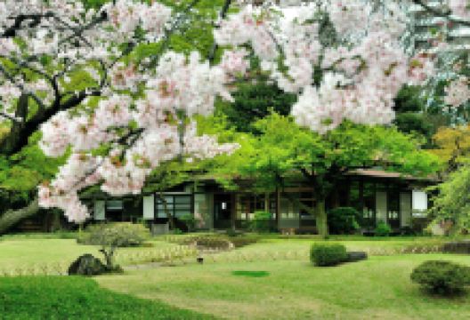 小石川后乐园景点图片