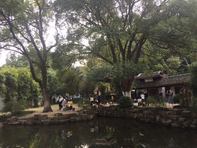岳麓山