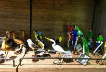 Albrook Mall购物图片