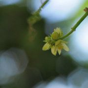 走夜路的陈姑娘