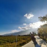 不知道叫什么的小婷