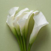 终于可以改名字啦