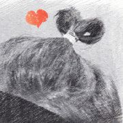 不要紧张记得要淡定