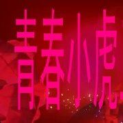 千万别惹我岁月